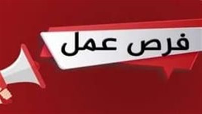 وظائف خالية | فرص عمل للشباب بشركة «سوفت تريند» بـ المعادي