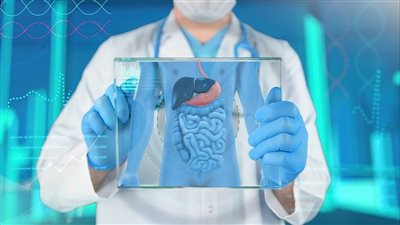 أفضل الأطعمة لراحة أمعائك وصحة جهازك الهضمي