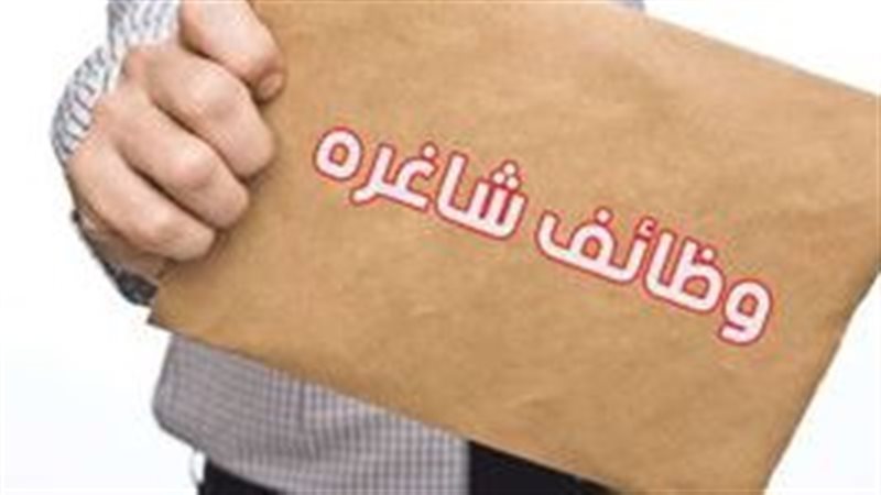 وظائف شاغرة 