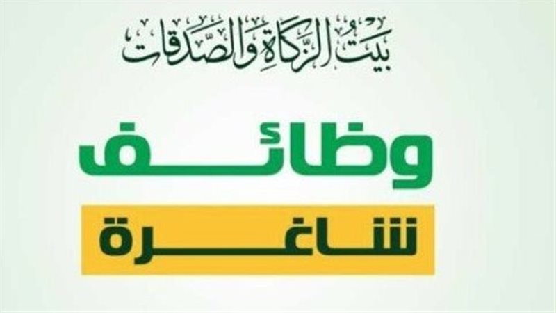وظائف شاغرة 