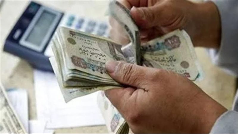 المعاشات 