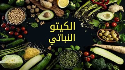 نظام الكيتو النباتي: دليل كامل للتغذية الصحية والنباتية