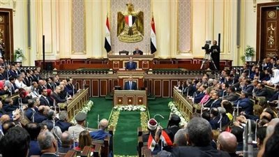 نائب: الشائعات لا تؤثر على عزيمة الشعب المصري وثقته في القيادة