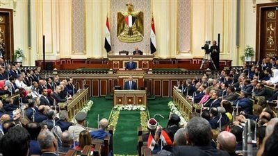 نائب: جهود الدولة في البناء والتنمية مستمرة رغم الشائعات ومعوقات الداخل والخارج