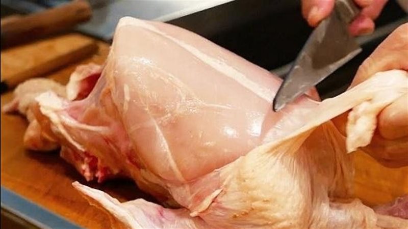 الدجاج 