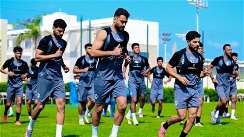 القارئ نيوز