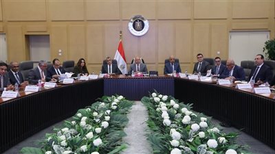 الصناعة تعلن تنفيذ خطة متكاملة لتطوير شركة مصر للألومنيوم بـ250 مليون دولار