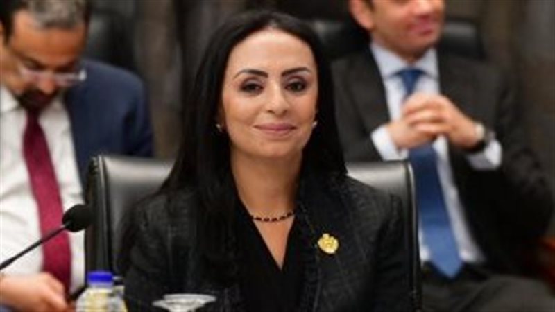  الدكتورة مايا مرسي