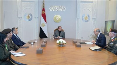 السيسي يوجه باستمرار العمل على تطوير منظومة الطيران بشكل متكامل