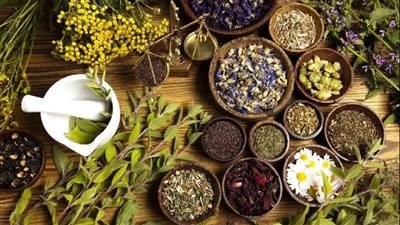 تغلب على الكحة والتهاب الحلق: 5 أعشاب سحرية لشتاء خالٍ من الأمراض