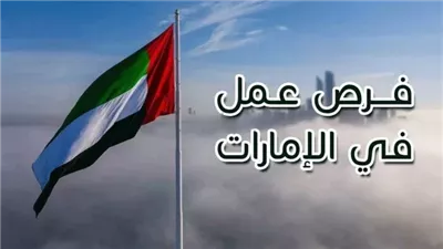 وظائف للمصريين.. المستندات المطلوبة والأوراق لفرص عمل بالإمارات