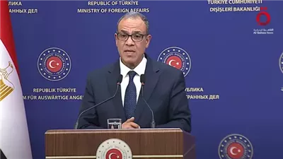 وزير الخارجية: وصول التجارة بين مصر وتركيا إلى 8.8 مليارات دولار