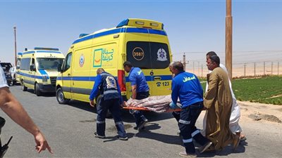 إصابة ابنة سامي عنان في حادث تصادم بالبحيرة