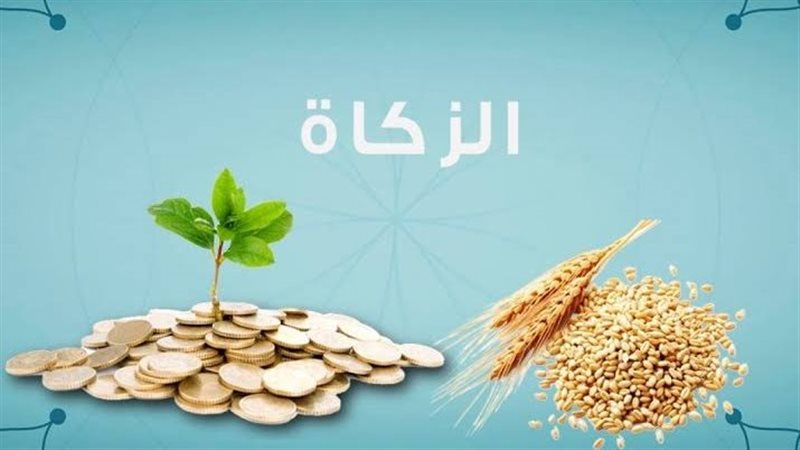 زكاة المال 