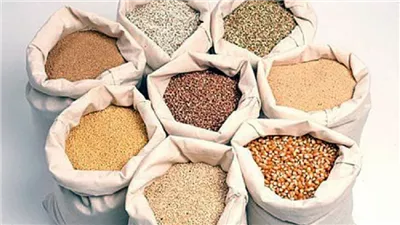 تراجع محدود في أسعار الأعلاف اليوم الجمعة
