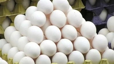أسعار كرتونة البيض اليوم الأربعاء 21 يناير 2026