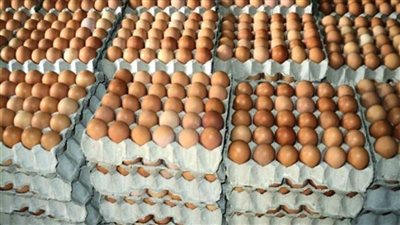 أسعار البيض في السوق المحلية اليوم الأربعاء 31 ديسمبر