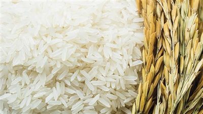 استقرار نسبي في أسعار الأرز والسلع الغذائية اليوم الإثنين
