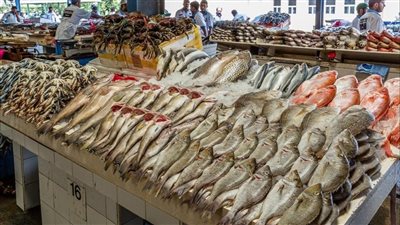 قبل ما تشتري.. اعرف أسعار الأسماك اليوم السبت في الأسواق وسوق العبور 