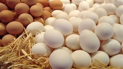 مفاجأة.. أسعار البيض في مصر اليوم 5 مايو.. و135 جنيهًا للطبق الأحمر