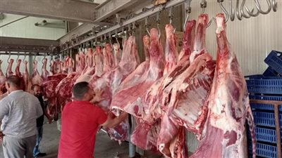  أسعار اللحوم بمحلات الجزارة اليوم الخميس 25-12-2025
