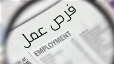 بشري ساره.. «العمل» تعلن عن 45 فرصة للمصريين في الأردن