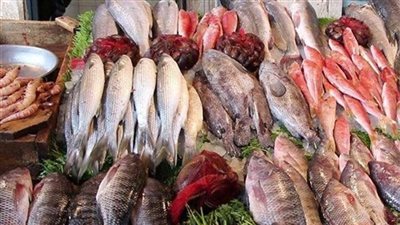 استقرار أسعار الأسماك في مصر اليوم الأحد