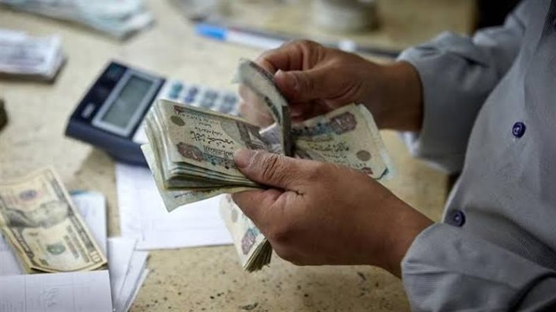 المعاشات 