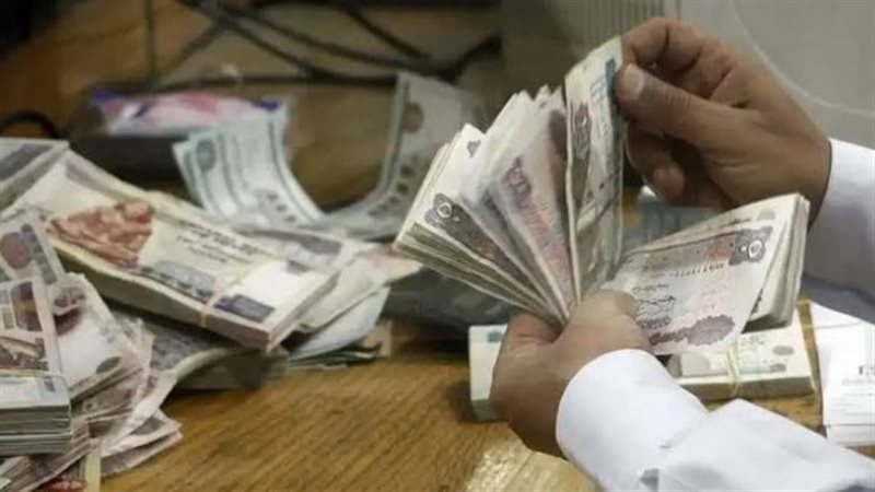 مرتبات المالية 