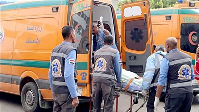 جريمة أسرية تهز البحيرة.. عامل ينهي حياة زوجته بآلة حادة والسبب غامض