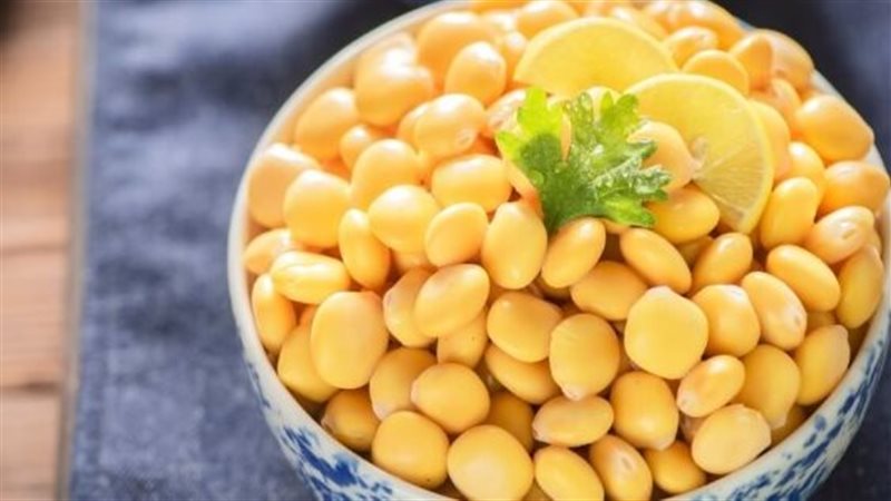 الترمس 