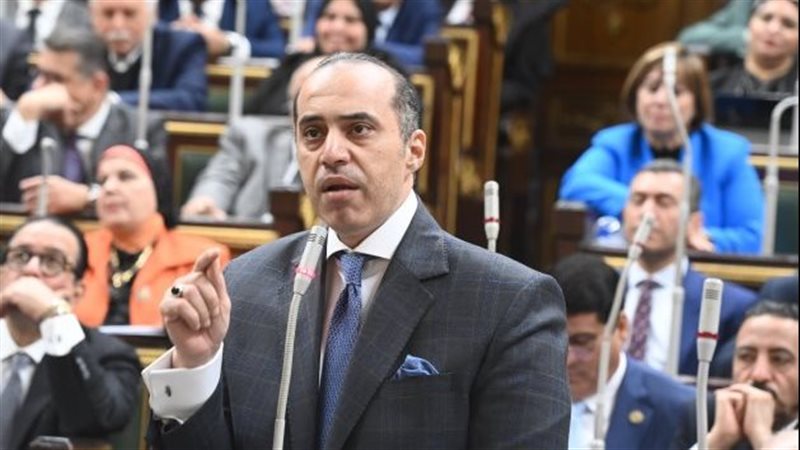 المستشار محمود فوزي