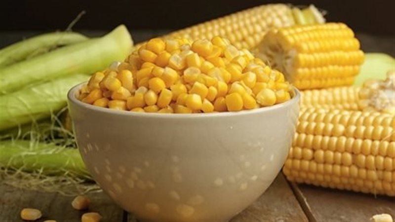 الذرة الصفراء 
