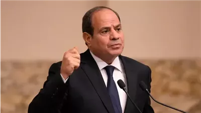 الرئاسة المصرية.. يجب محاسبة إسرائيل لمنع إضافة الهجوم إلى سجل الإفلات المعتاد