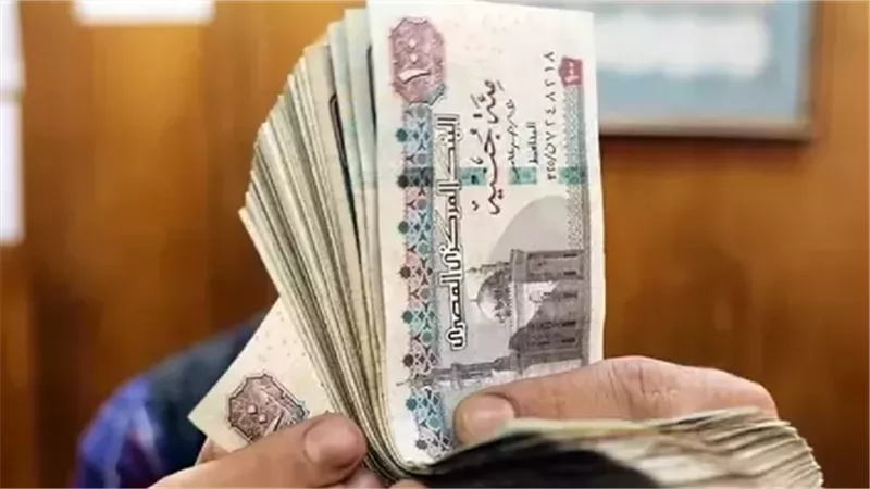 منحة مالية 