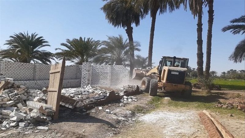 القارئ نيوز
