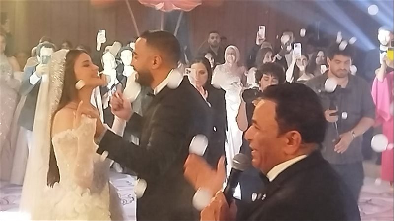 القارئ نيوز