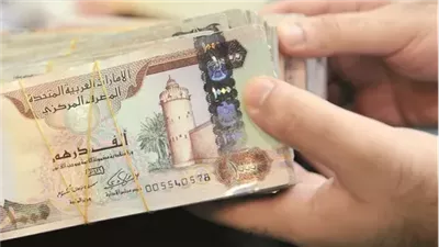 سعر الدرهم الإماراتي مقابل الجنيه المصري اليوم السبت 12 يوليو 2025