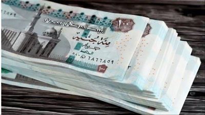 تفاصيل منحة المولد النبوي الشريف 2025.. رابط التسجيل والفئات المستحقة