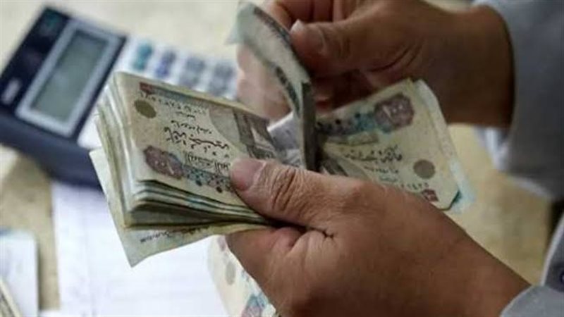 المعاشات 