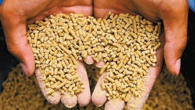 تباين أسعار الأعلاف والخامات فى مصر اليوم الأحد