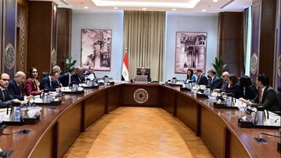 مدبولي.. الرئيس يوجه بتسهيل إدخال مشروعات الطاقة المتجددة