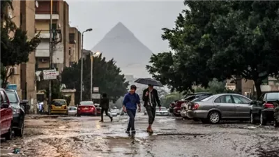 هيئة الأرصاد تعلن دخول الربيع رسميًا وتحذر من أمطار