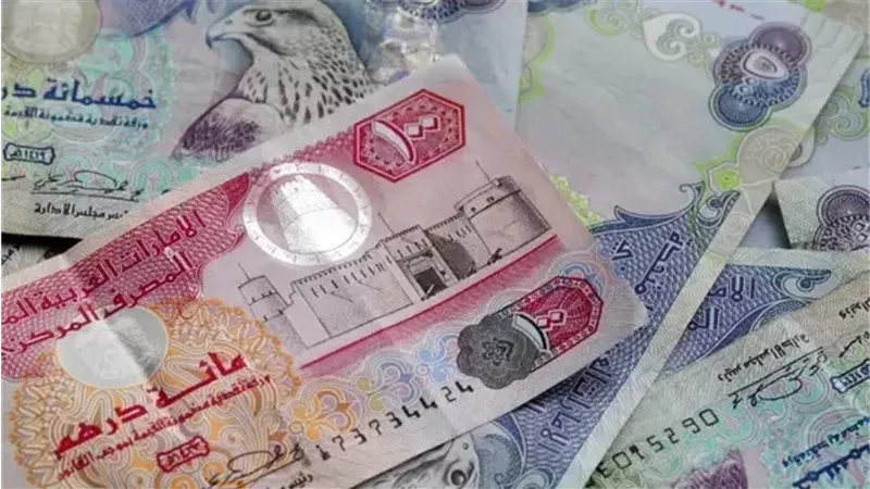 الدرهم الإماراتى