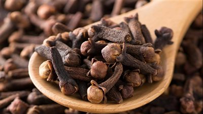 كنز التوابل.. ماذا يحدث عند مضغ فص قرنفل يوميا؟
