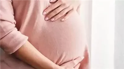 أيام الحمل والرضاعة.. أمين الفتوى يوضح حكم القضاء والكفارة
