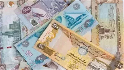 استقرار سعر الدرهم الإماراتي أمام الجنيه المصري اليوم الأحد