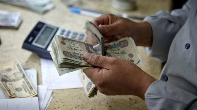 المعاشات 