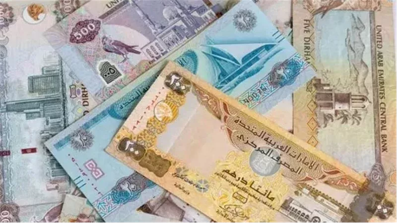 الدرهم الإماراتي
