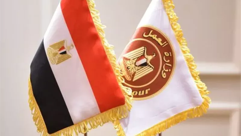 وزارة العمل المصرية
